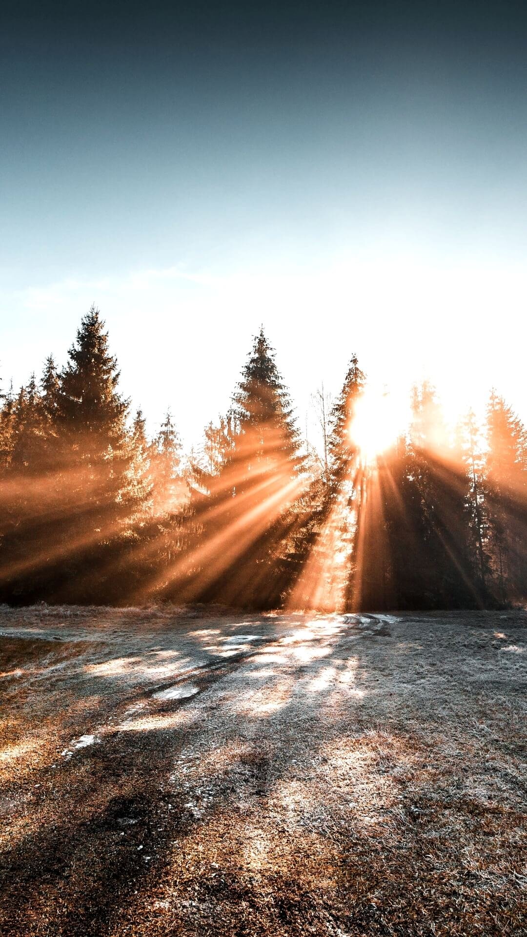 1080x1919  Скачать 2160x3840 зонт, осень, дождь, листва обои, картинки samsung galaxy  s4, s5, note, sony xperia z, z1, z2, z3, htc one, lenovo vibe