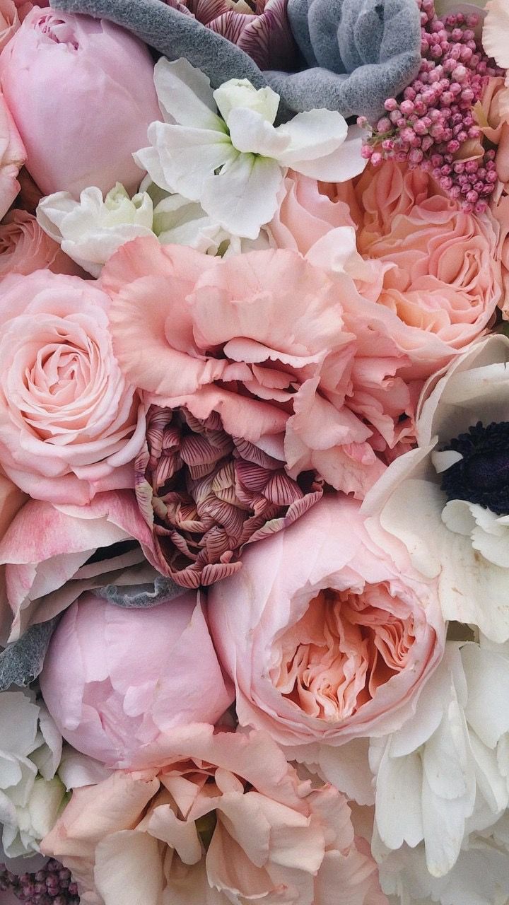 720x1280  ОБОИ НА ТЕЛЕФОН | Flower background iphone, Flower aesthetic, Flower phone  wallpaper