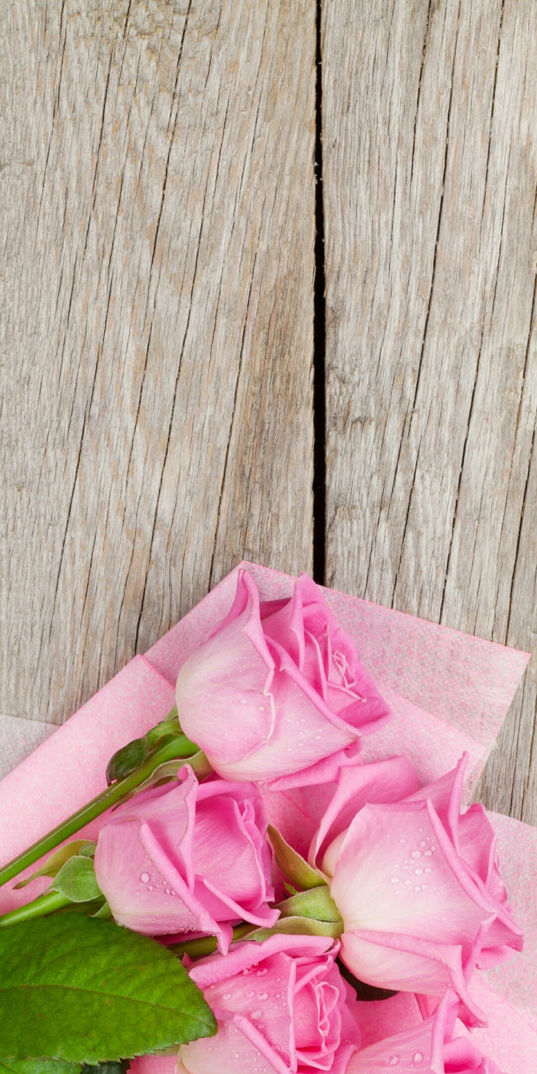 1080x2160  Скачать обои на самсунг для девушек цветы розы. | Цветы заставки на телефон.  | Постила