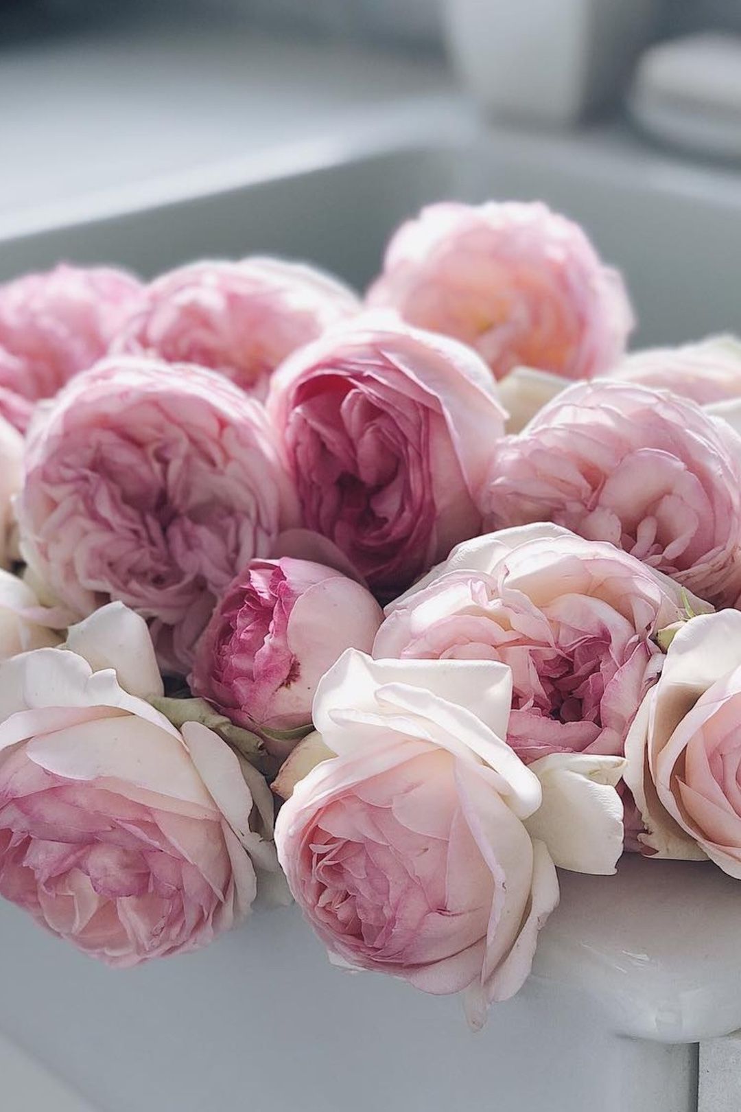 1080x1620  Обои для IPhone эстетика | Дизайн цветочного сада, Розовые пионы, Букеты  фотографии