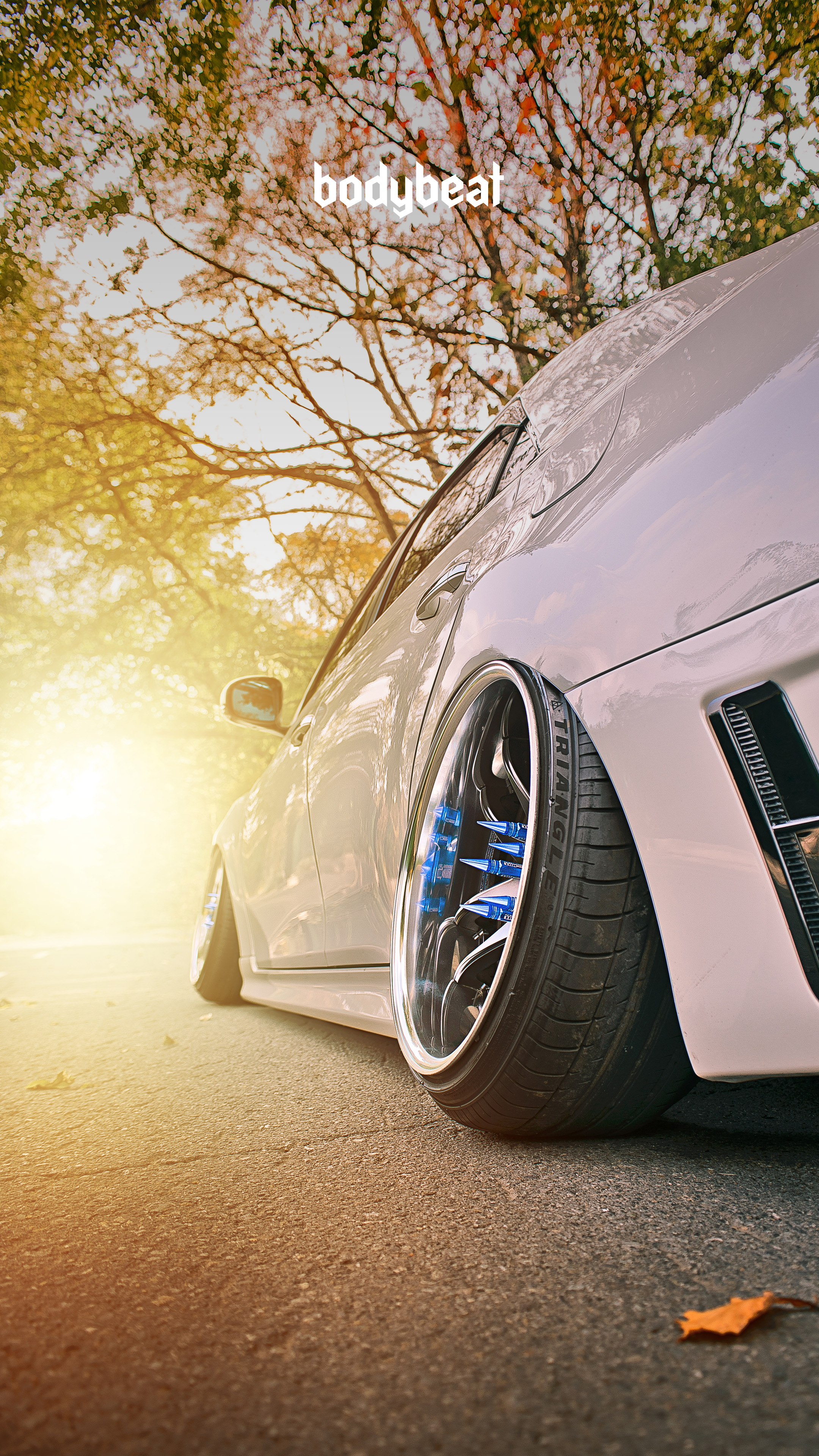 2160x3840  Обои: Toyota Mark X – BODYBEAT