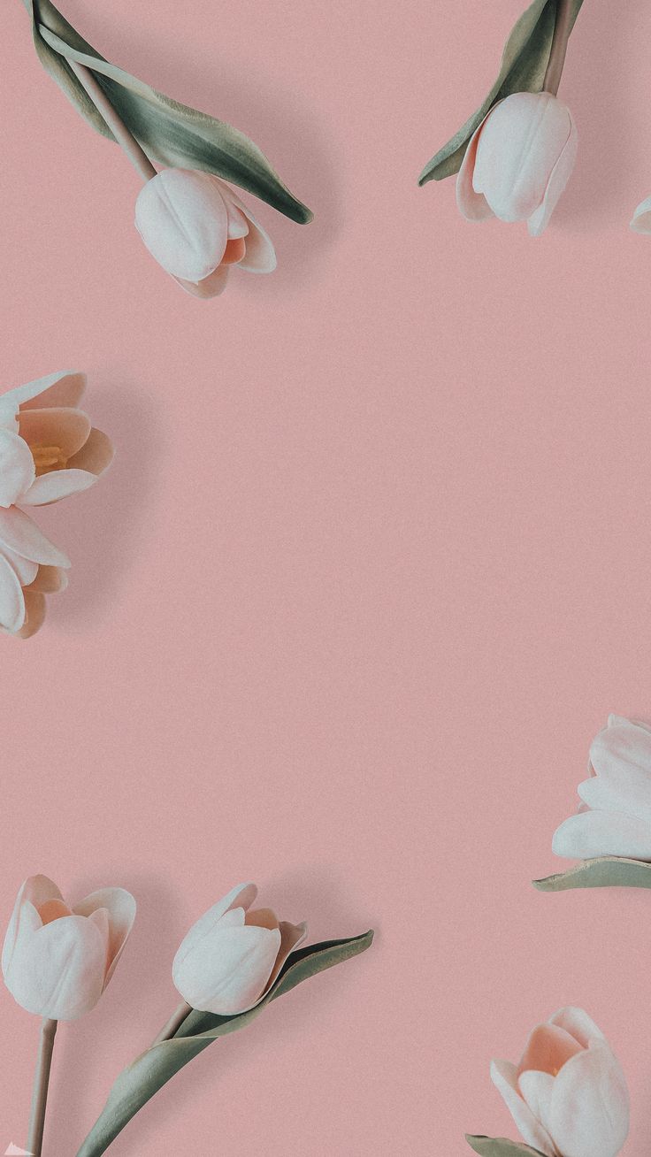 736x1308  Обои на телефон | Цветочные фоны, Винтажные цветочные фоны, Розовые фоны