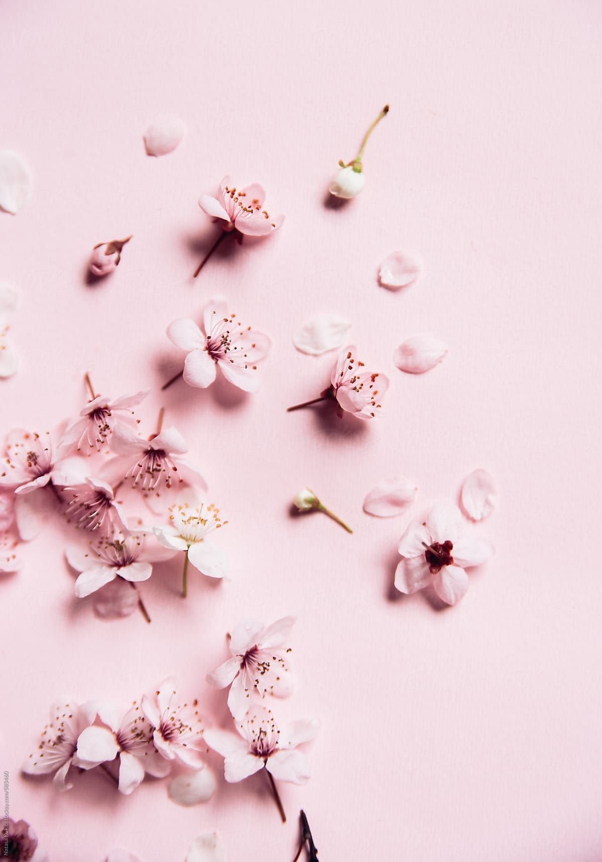 1200x1719  Картинки на заставку телефона цветы красивые - 70 фото