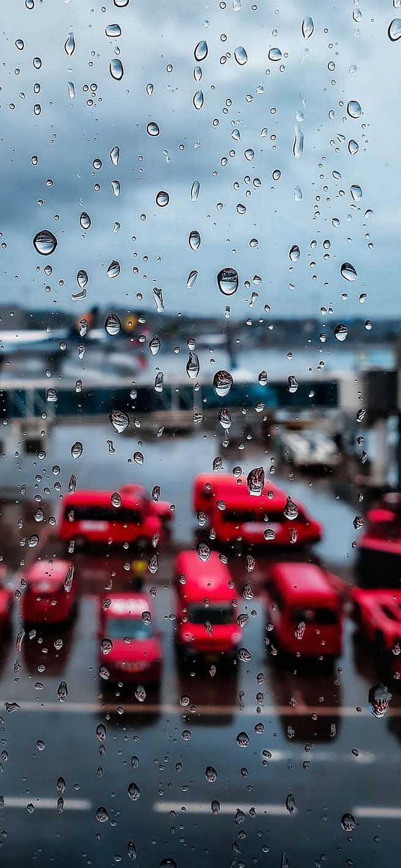 1284x2778  iPhone 11 Pro Max обои на телефон [10+ изображений]