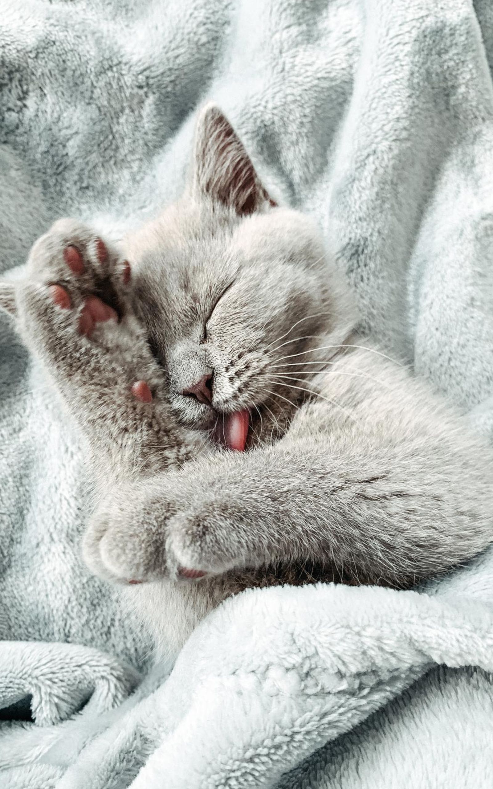 1600x2560  Мраморные обои для телефона - фото и картинки abrakadabra.fun