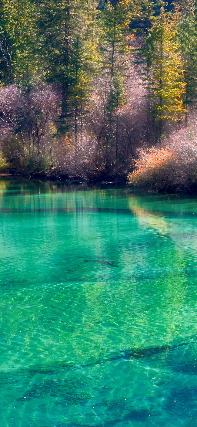 650x1407  Обои Цзючжайгоу пейзаж мобильный телефон изображение_Фото номер  400258460_JPG Формат изображения_ru.lovepik.com