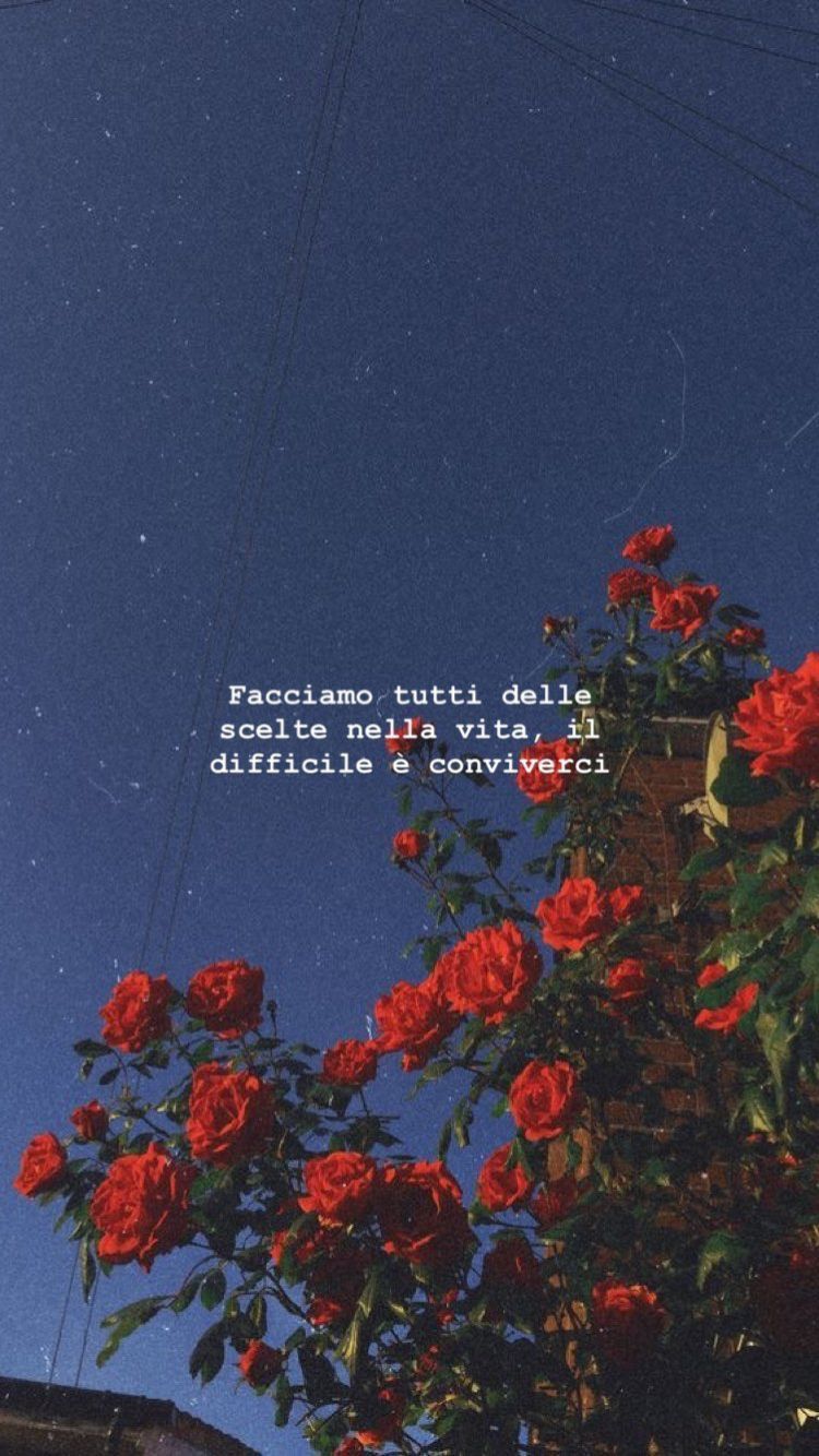 750x1334  ᴘɪɴᴛᴇʀᴇsᴛ ❂ ᴄʜᴀʀᴍsᴘᴇᴀᴋғʀᴇᴀᴋ | Wallpaper quotes, Phone wallpaper quotes,  Inspirational wallpapers