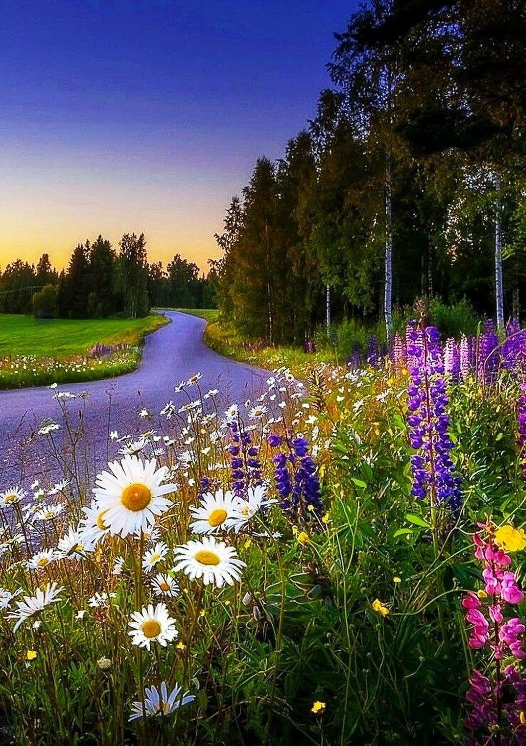 1060x1504  Обои природа, атмосфера, мир, синий, свет на телефон Android, 1080x1920  картинки и фото бесплатно