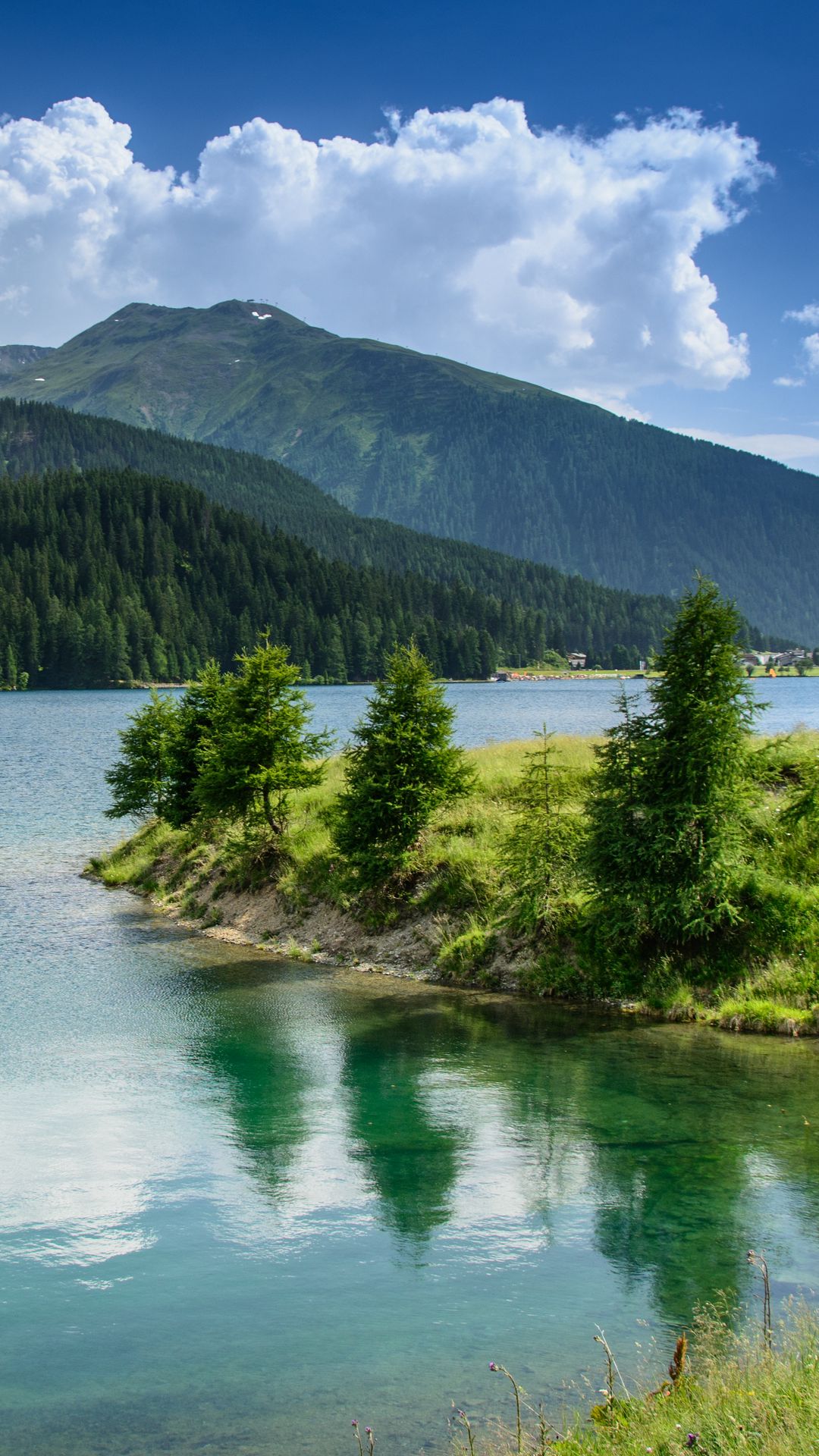 1080x1920  Обои на телефон: Природа, Деревья, Горы, Озеро, Лес, Вода, 151331 скачать  картинку бесплатно.