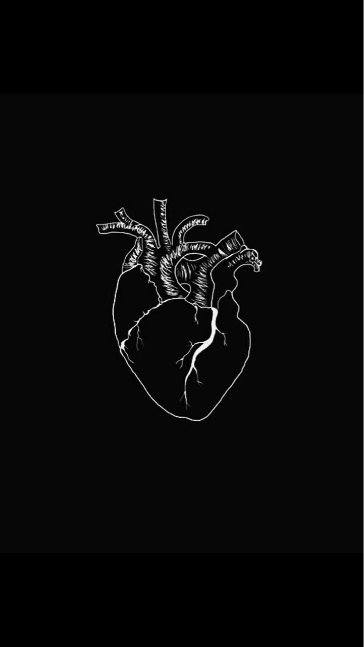 721x1280  Обои на айфон черные 4к (44 фото) » Фоны и обои для рабочего стола. Картинки  для заставки на телефон