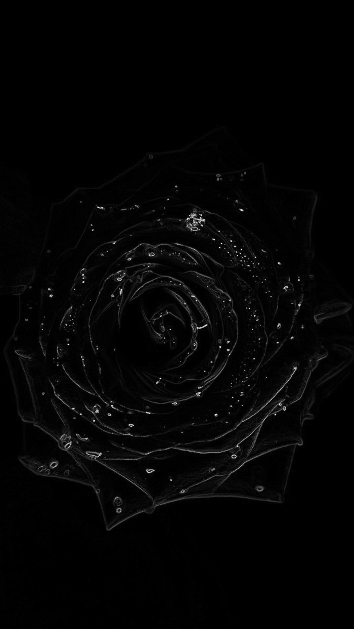 700x1244  обои для телефона Фон Обои Изображение для бесплатной загрузки - Pngtree