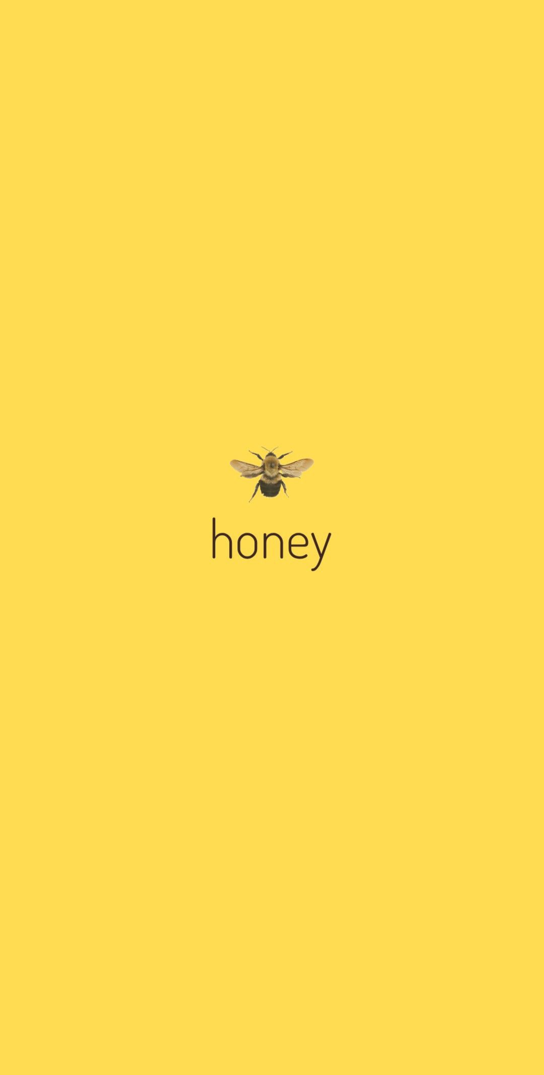 1080x2134  заставка жёлтая пчела honey | Жёлтые обои, Настенные художественные цитаты,  Обои