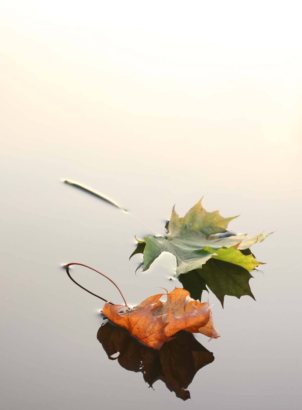 1200x1628  Подборка красивых обоев на iPhone | Mac скачать бесплатно