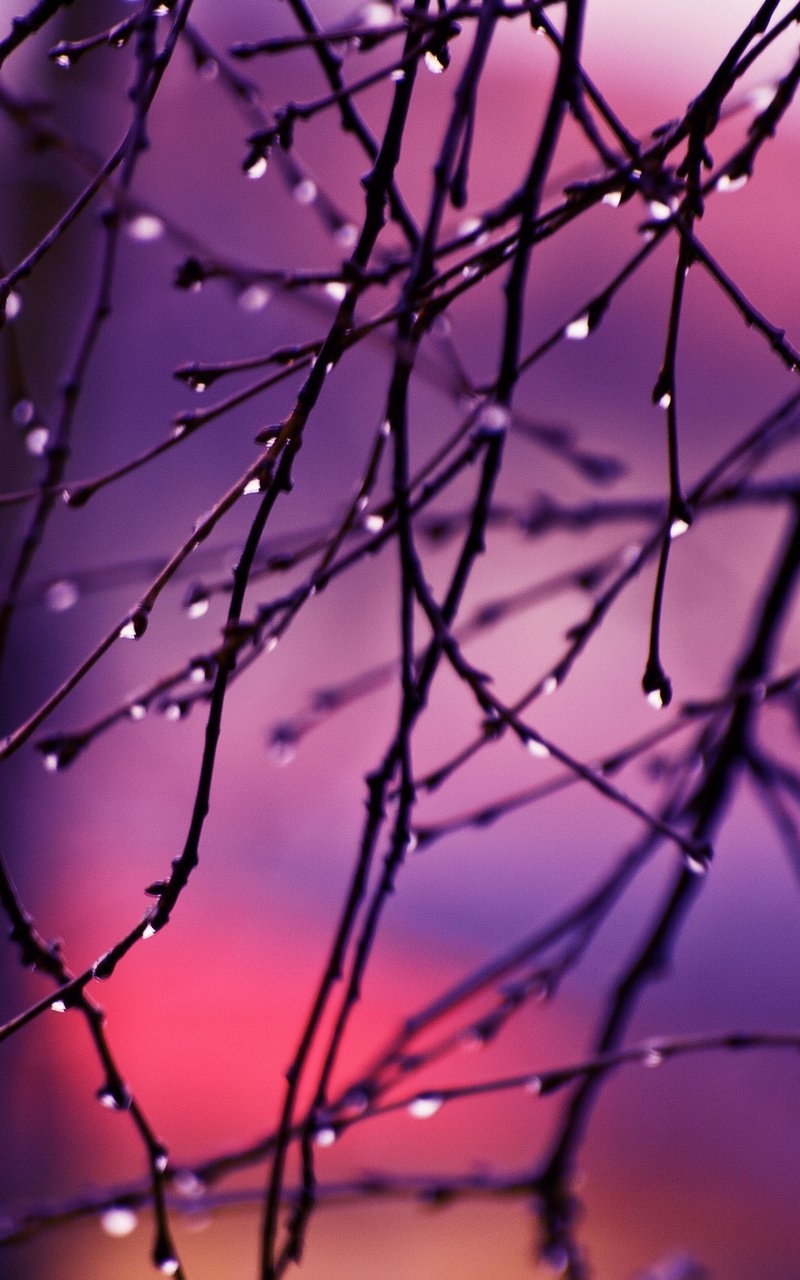 800x1280  Скачать Обои для телефона APK для Android