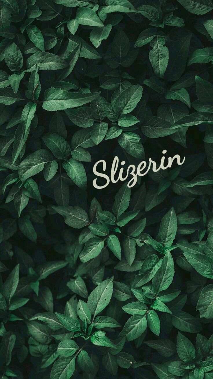 736x1308  Слизерин Гарри Поттер | Слизерин, Гарри поттер, Драко малфой