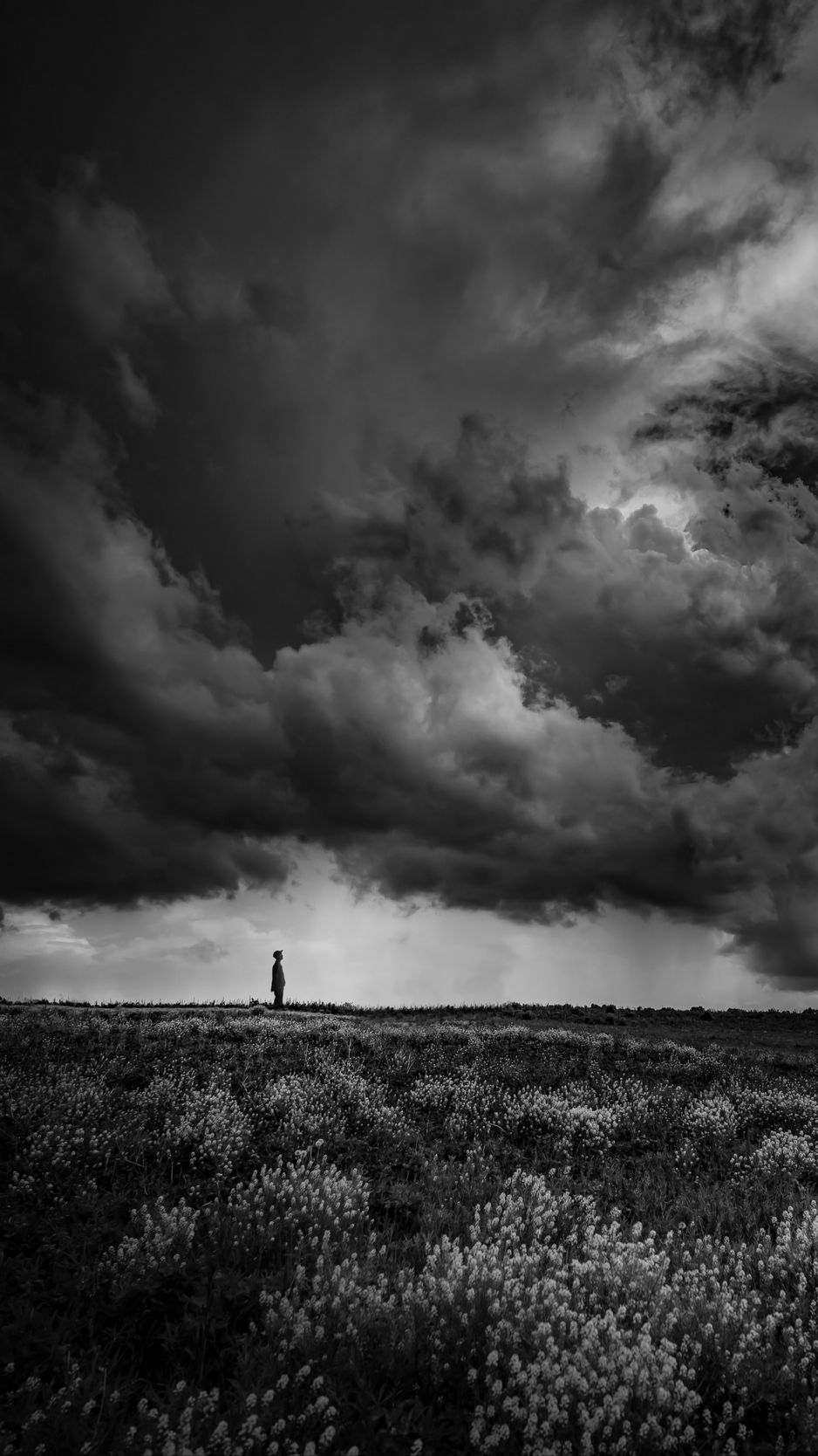 938x1668  Скачать 938x1668 одиночество, одинокий, грустно, чб, простор обои, картинки  iphone 8/7/6s/6 for parallax