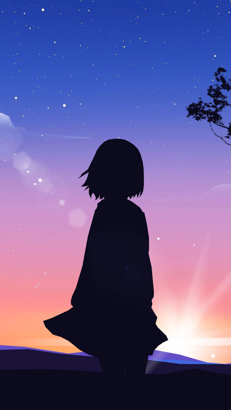 800x1420  Скачать 800x1420 девушка, силуэт, закат, одиночество, арт обои, картинки  iphone se/5s/5c/5 for parallax