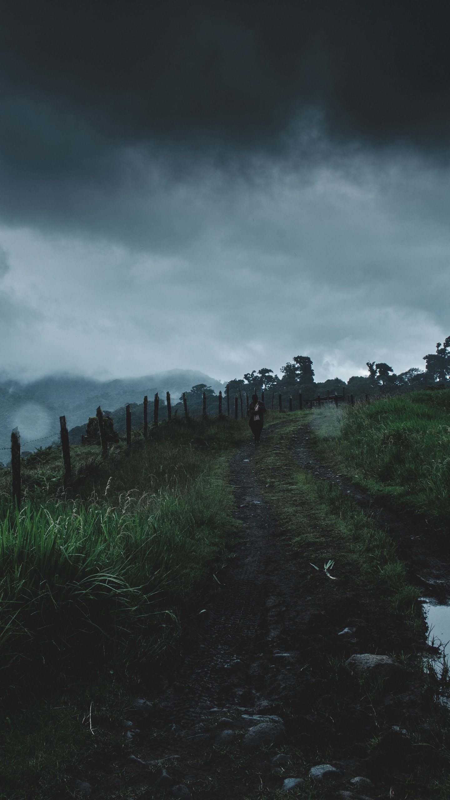1440x2560  Обои на телефон тропинка, спуск, человек, туман, одиночество, лос-наранхос,  панама - скачать бесплатно в высоком качестве из категории \"Природа\"