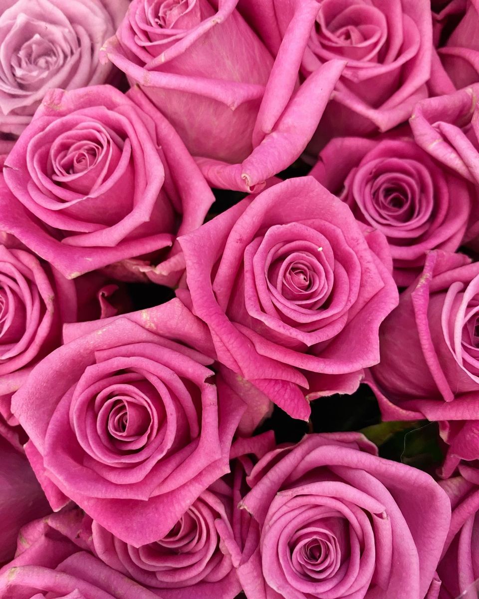 960x1200  Пин на доске Flowers (by me)