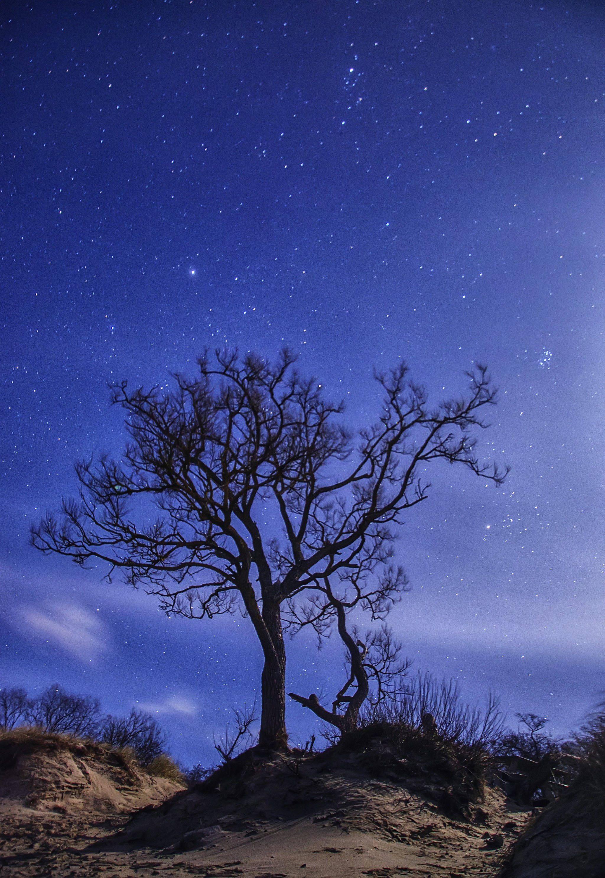 2048x2971  Заставки на телефон | Пикабу