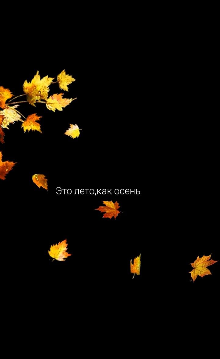 720x1172  Обои , обои для телефона, обои на экран блокировки, фон | Цветочные фоны,  Обои, Обои фоны