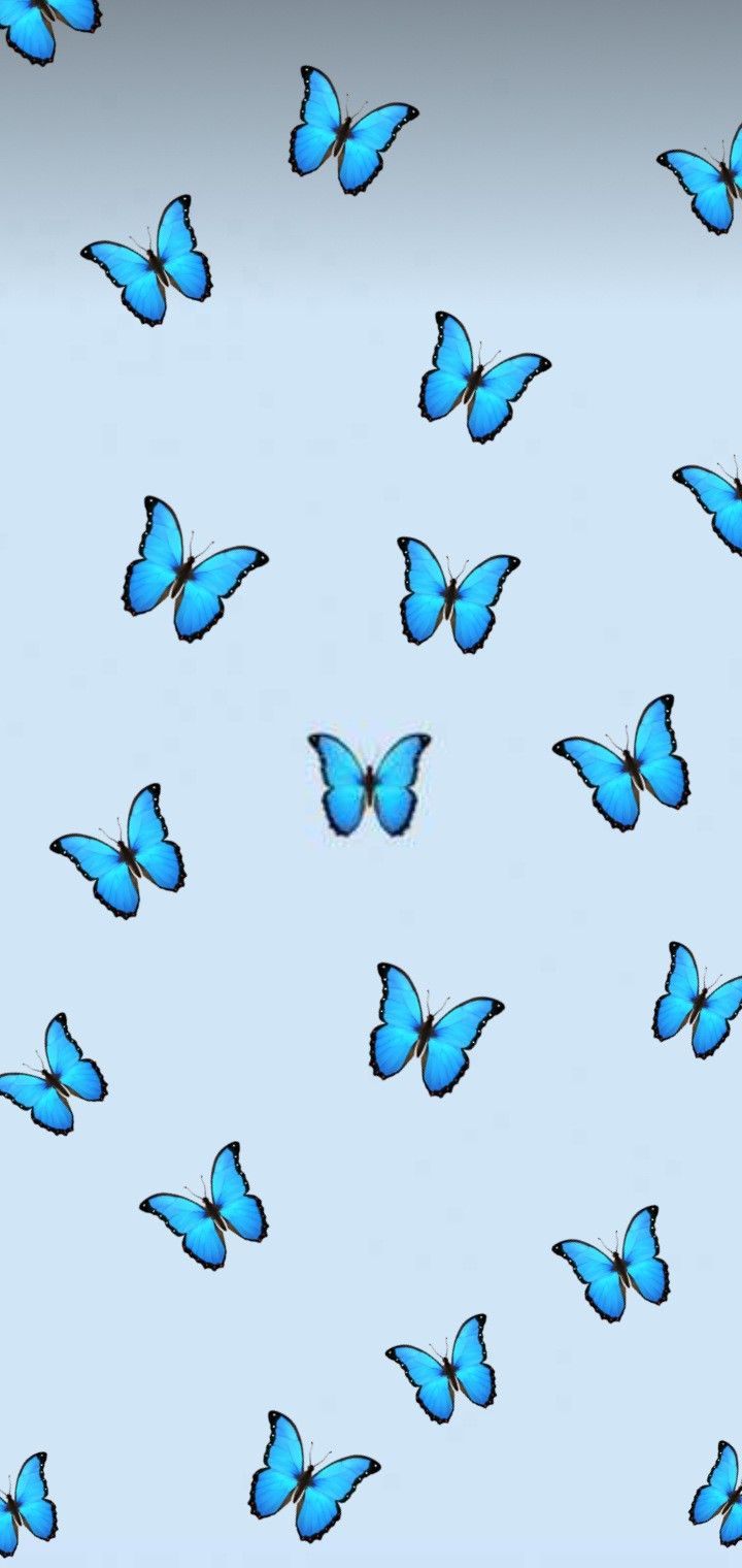 720x1520  Бабочка | Blue butterfly wallpaper, Butterfly wallpaper iphone, Butterfly  wallpaper