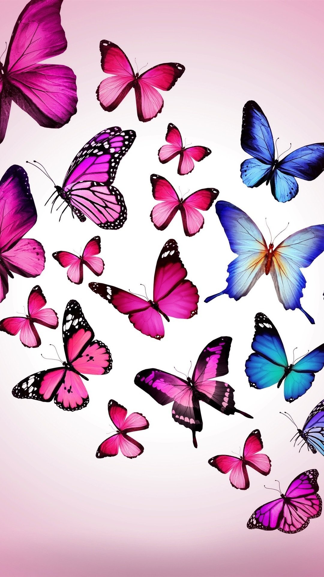 1080x1920  Бабочки картинки на телефон - 77 фото