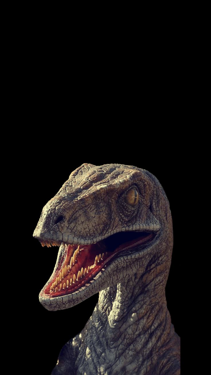 736x1308  Pin by Ryan Choodari on Wallpapers 📱 in 2023 | Jurassic world wallpaper,  Dinosaur wallpaper, Dinosaur pictures