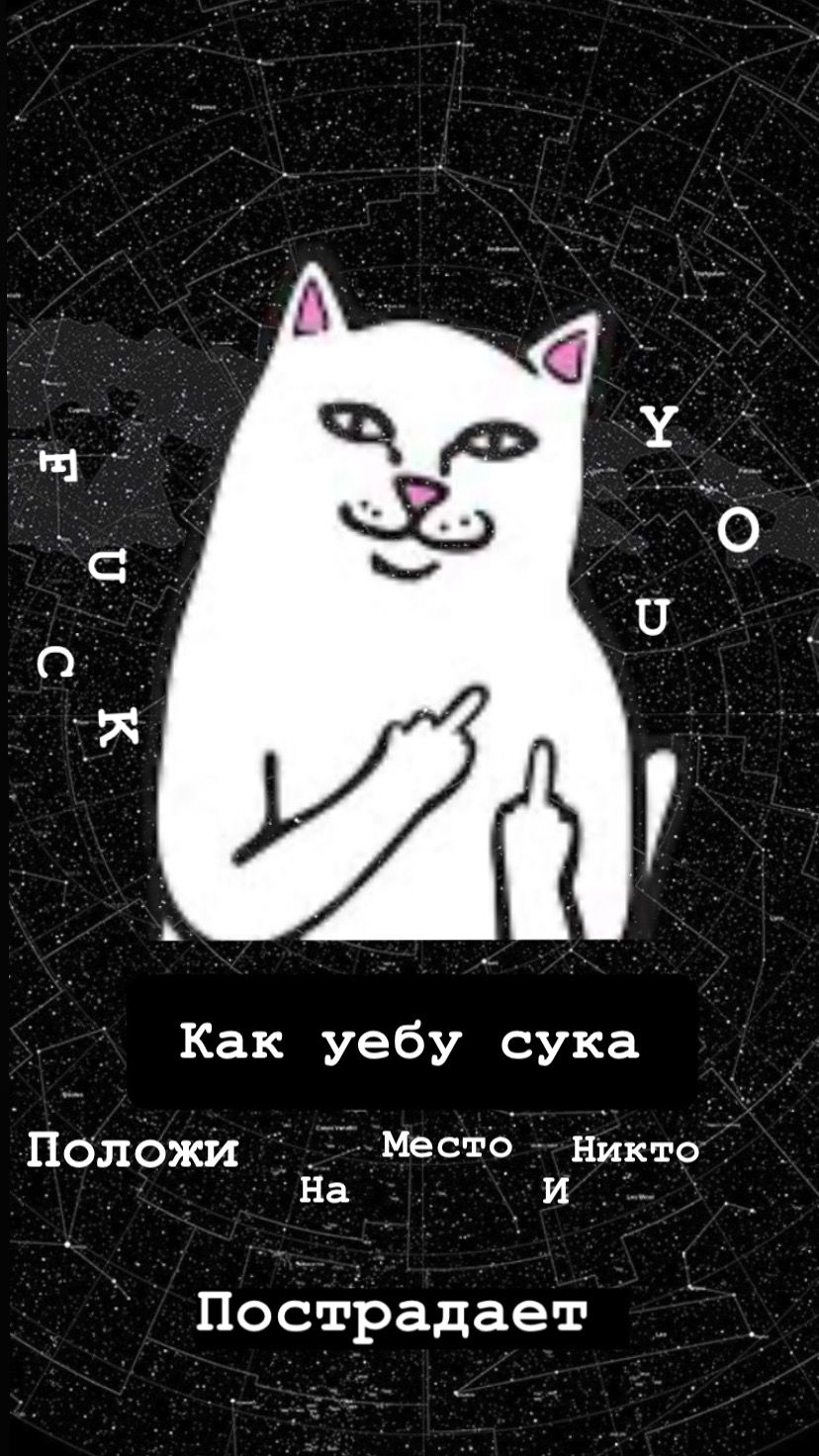 828x1472  Чёрные обои на телефон | Черные обои, Шикарные обои, Обои