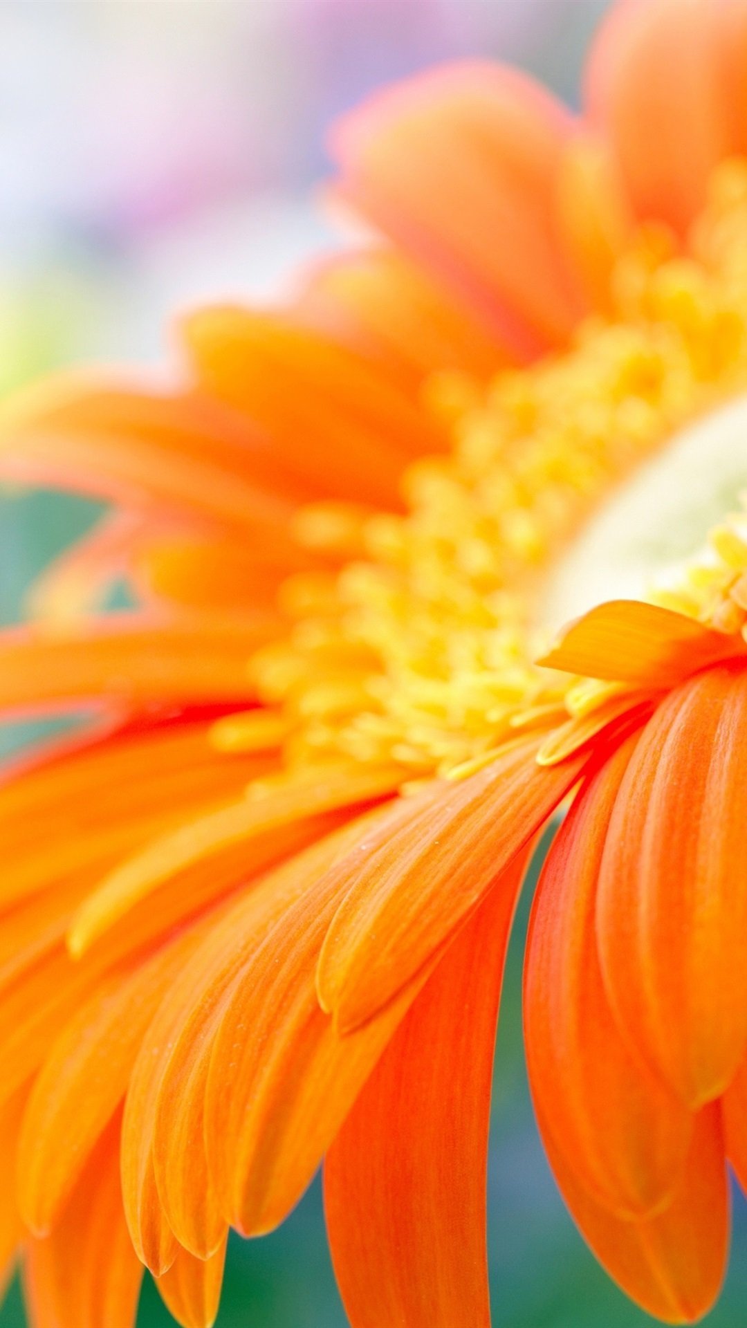 1080x1920  Заставки на телефон оранжевого цвета - 71 фото