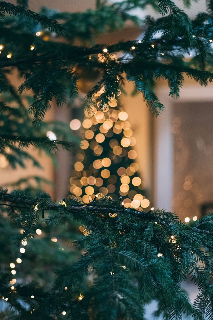 736x1104  Зимние обои на телефон | Christmas aesthetic, Christmas lights wallpaper,  Christmas tree decorations