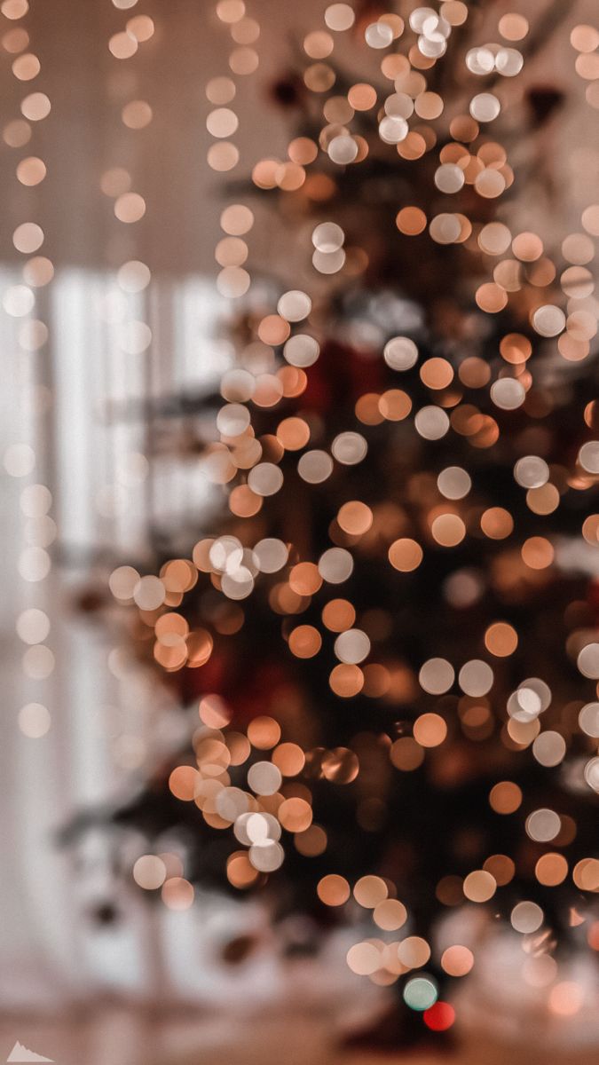 675x1200  Обои для телефона в HD качестве | Фоновые рисунки, Рождественские пейзажи,  Рождественские изображения