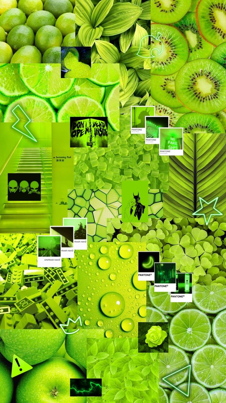 736x1308  Эстетика зелёного | Зеленые обои, Оттенки зеленой краски, Зеленые фоны