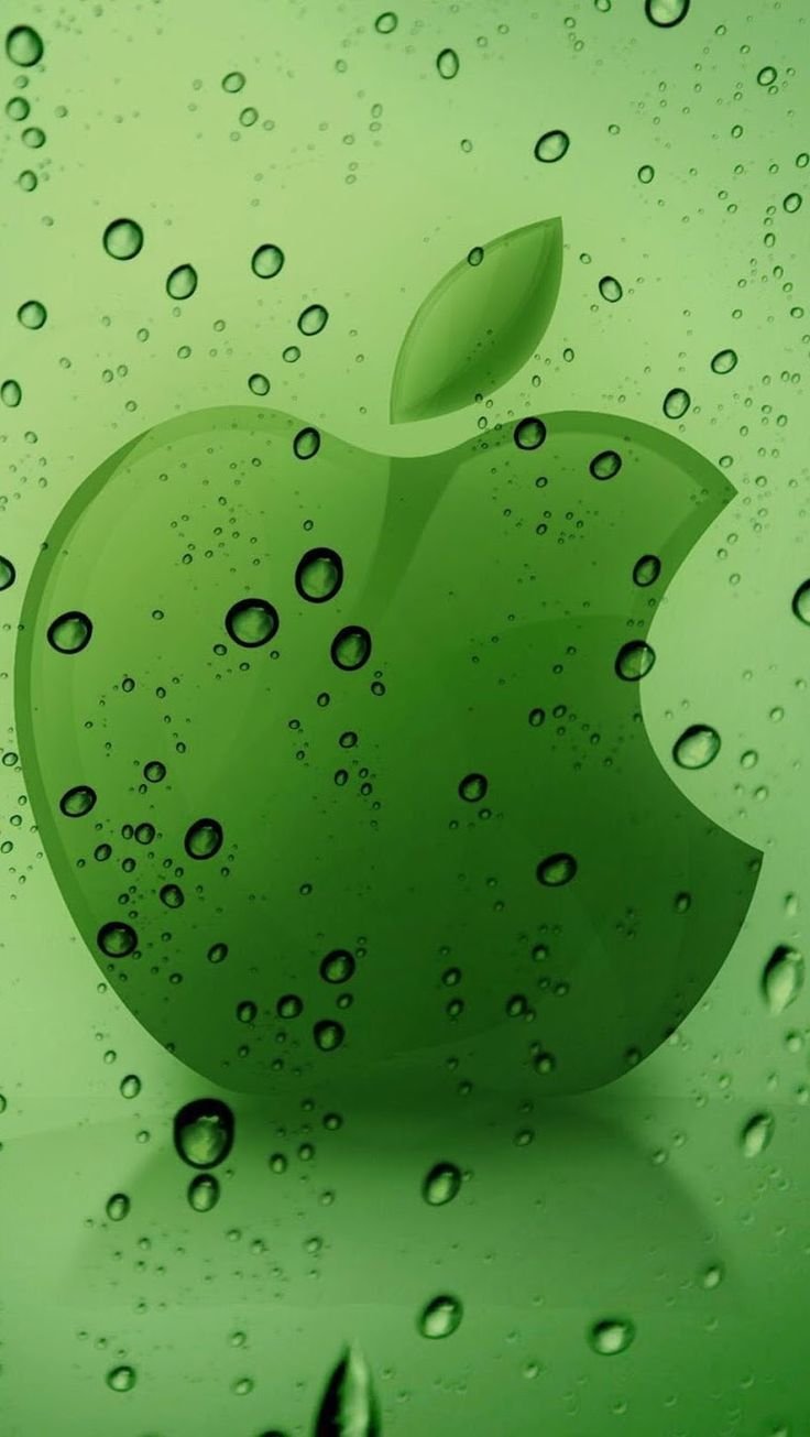 736x1305  Зеленые обои на айфон - 72 фото