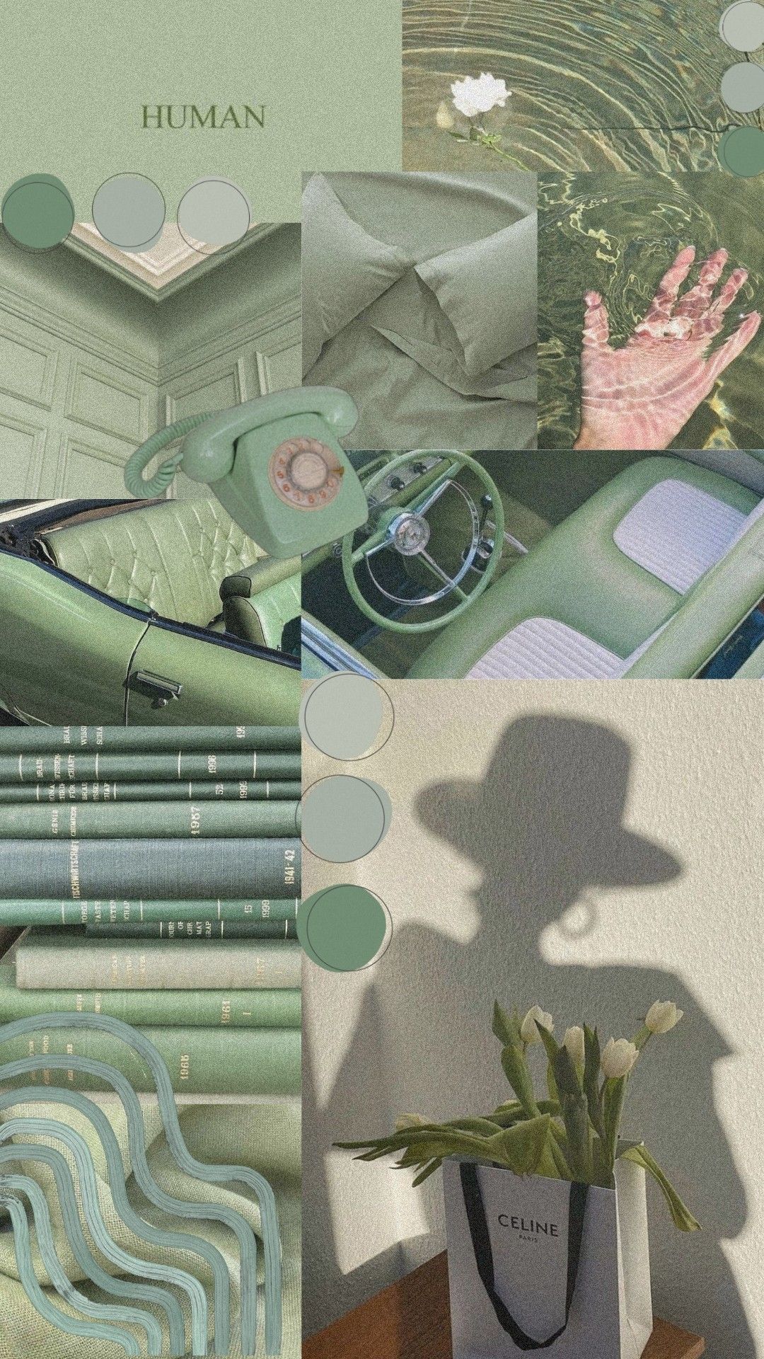 1080x1920  Обои на телефон | Зеленые обои, Рисунки пузырями, Мятные обои