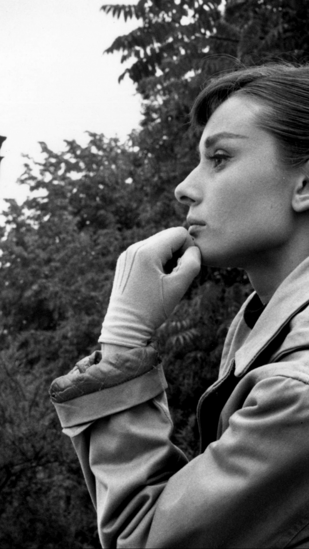 1080x1920   Audrey Hepburn - 750x1334 Wallpaper - teahub.io 