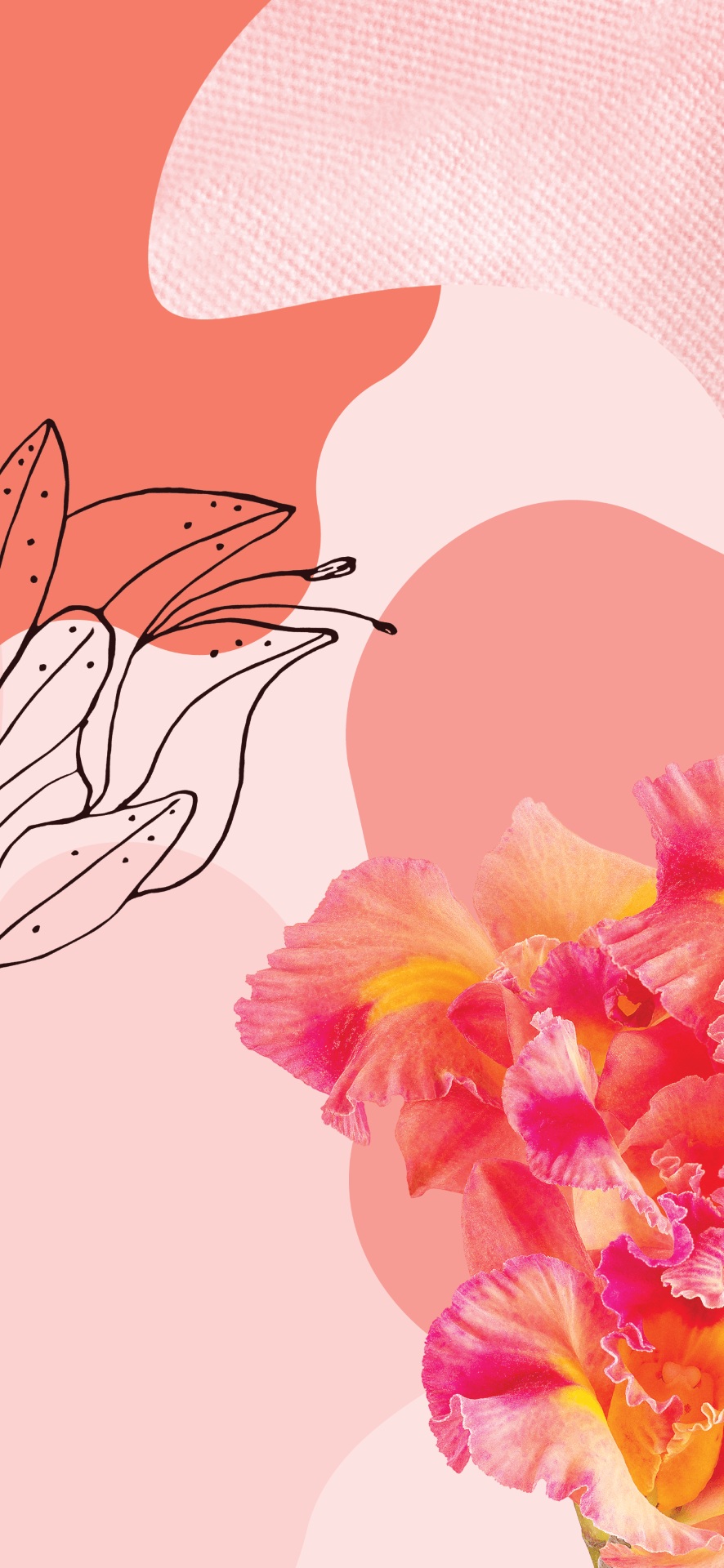 886x1920  Google HD Wallpapers - Пещера обоев