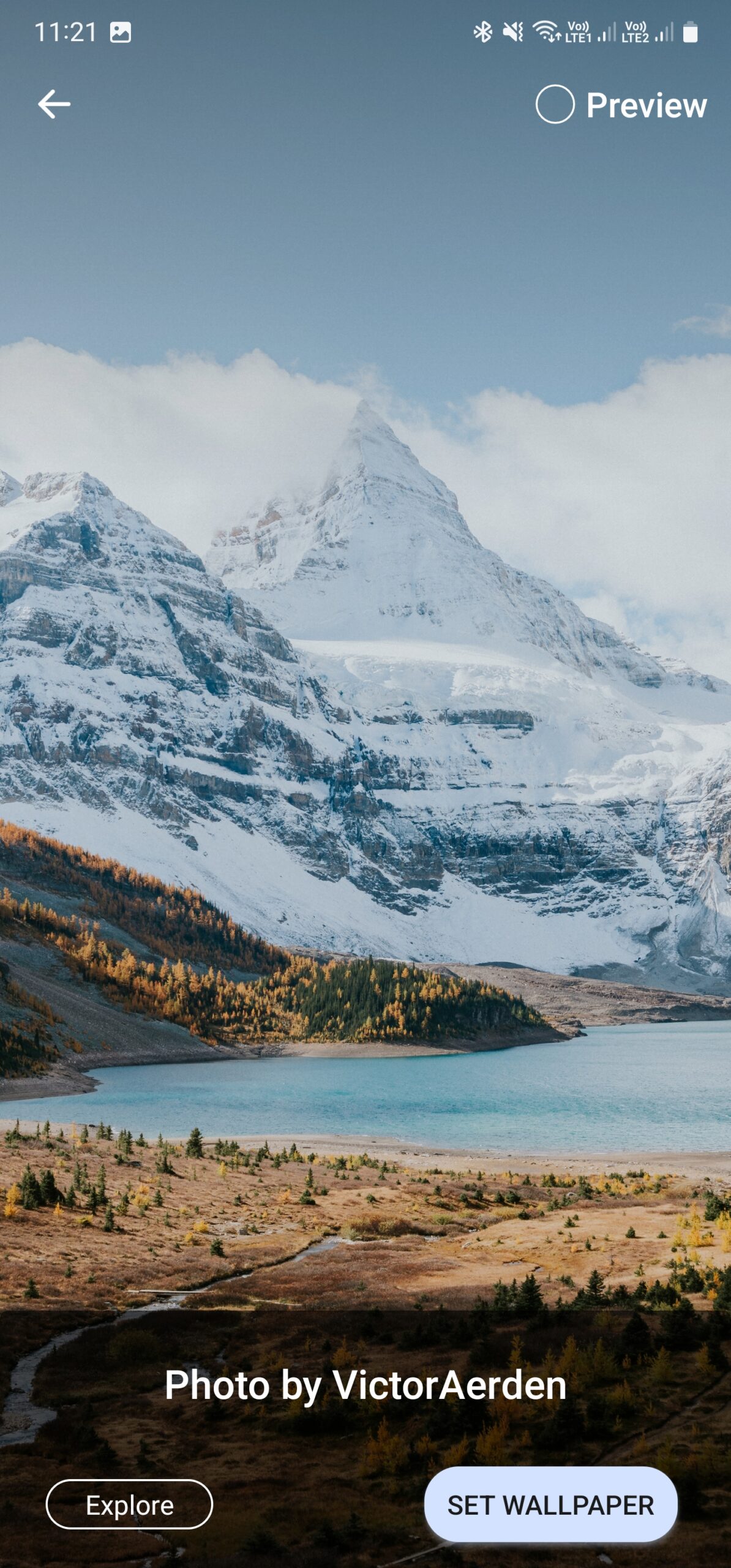 1194x2560  Google добавил больше обоев в Pixel и его приложение «Обои»