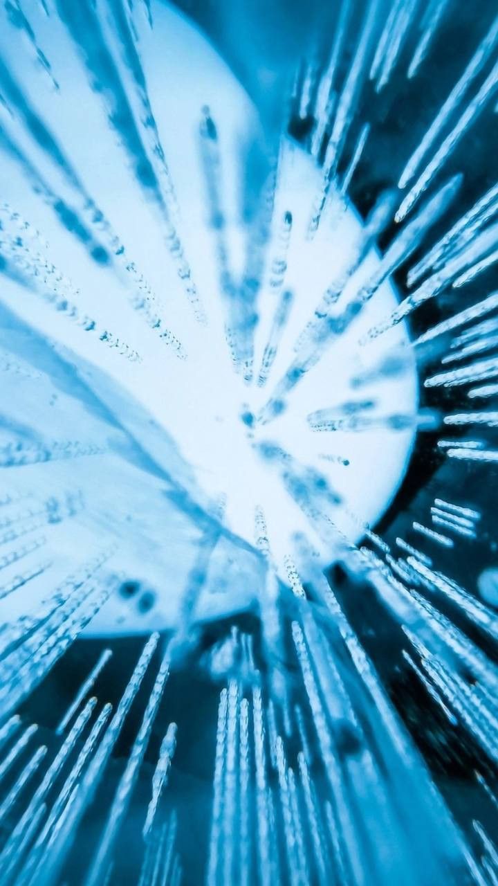 720x1280  Обои на телефон кожа с золотом - фото и картинки abrakadabra.fun