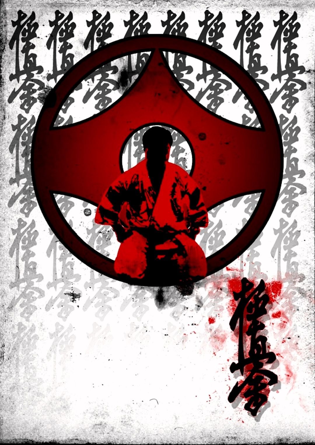 1080x1528  Киокушинкай каратэ картинки - 76 фото