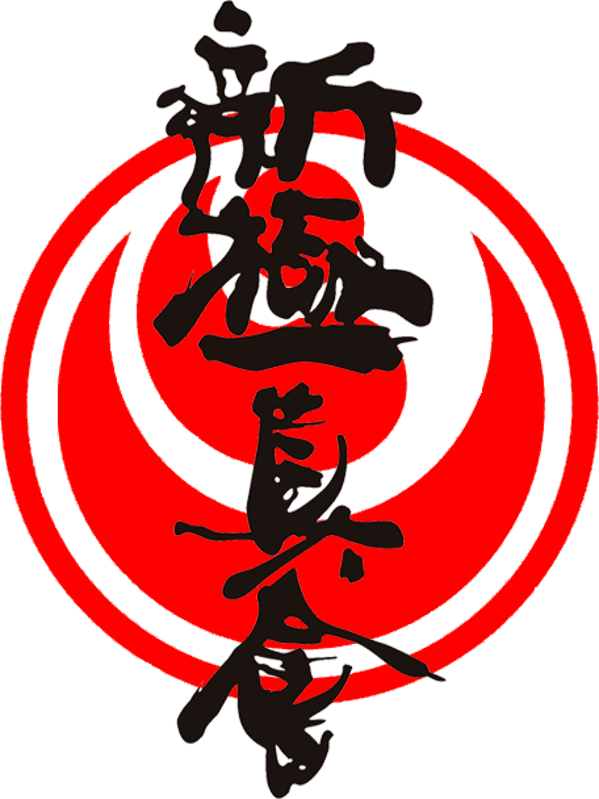 1920x2560  Додзё, школа киокушинкай каратэ, СК Энергия, Часовая, 2/2, Новосибирск —  2ГИС