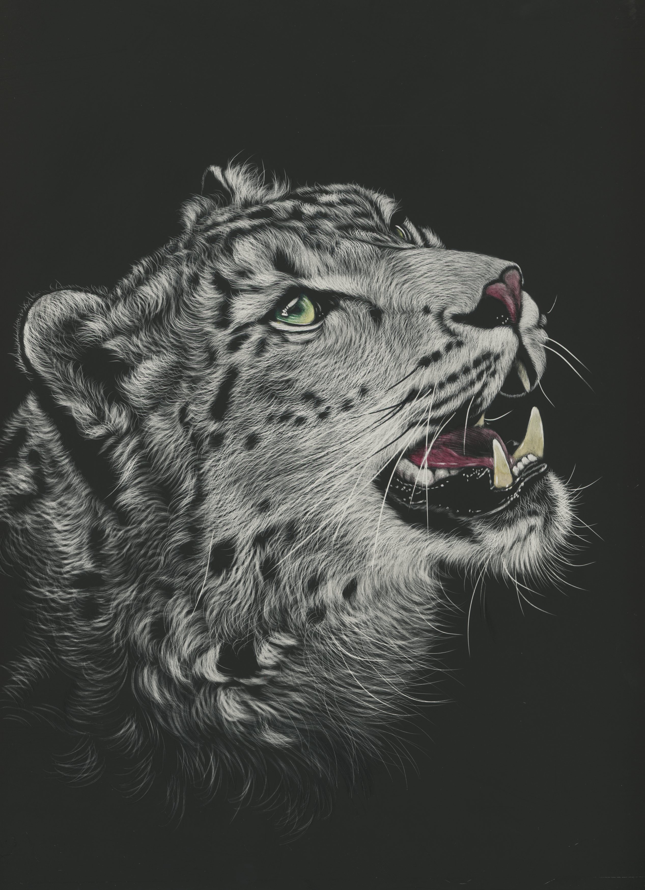 2534x3494  Скачать обои \"Львица\" на телефон в высоком качестве, вертикальные картинки  \"Львица\" бесплатно