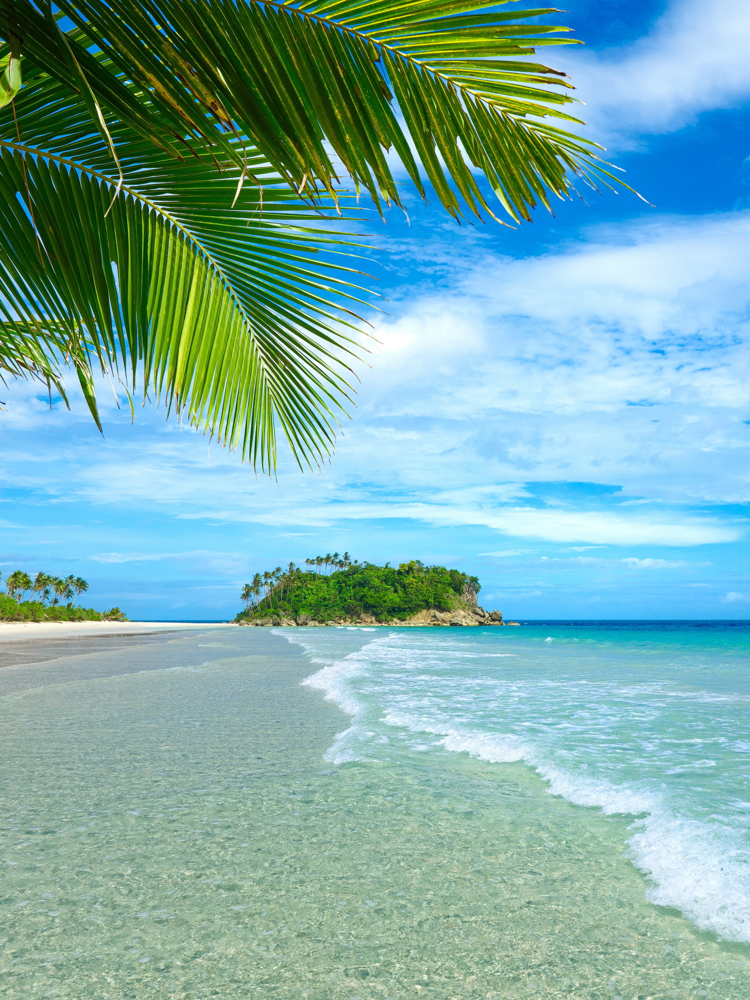 1536x2048  Обои на телефон: Море, Пляж, Пальмы, Горизонт, Океан, Пальма, Тропический,  Бирюзовый, Земля/природа, 1305773 скачать картинку бесплатно.