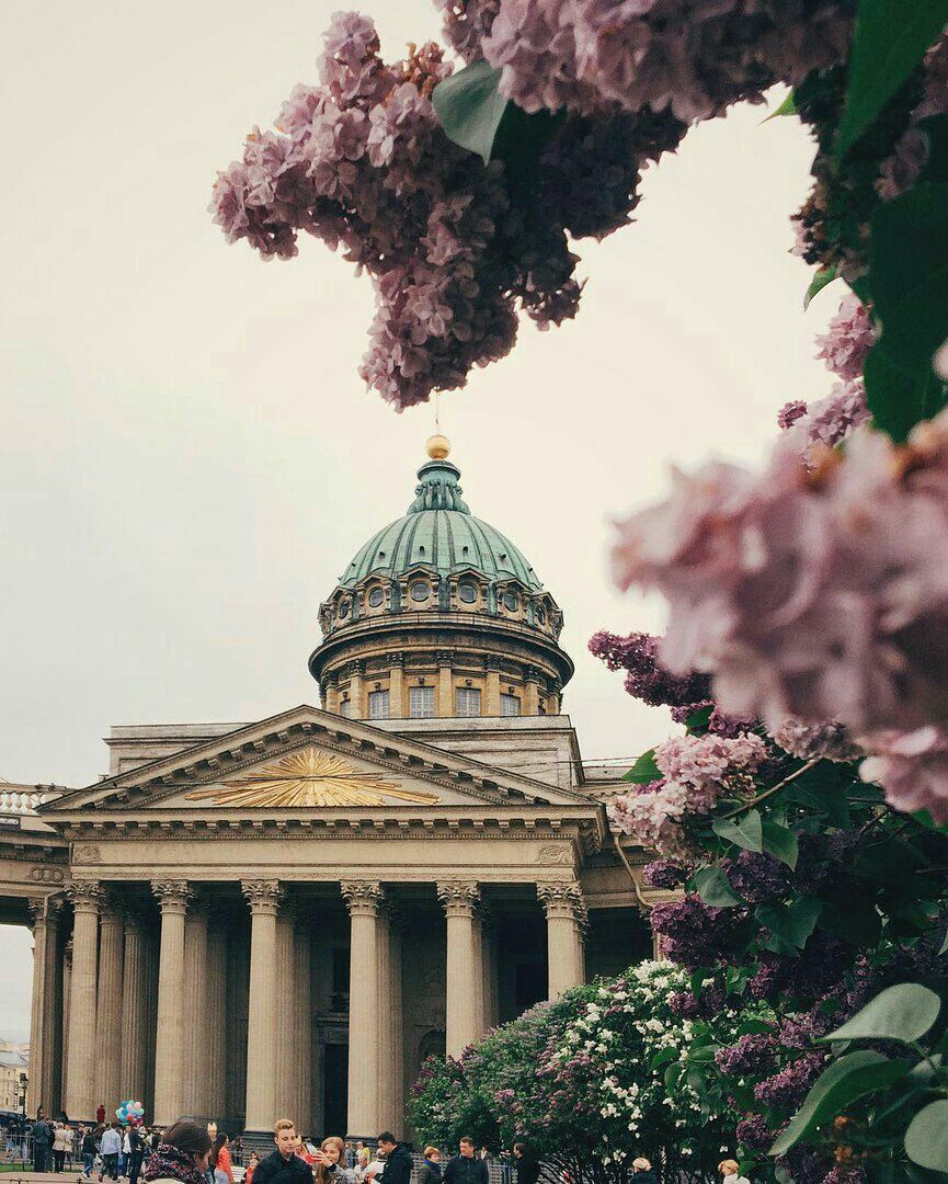 865x1080  Обои на айфон питер - 76 фото