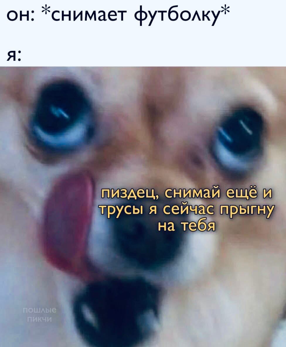 976x1185  Пошлые картинки для мужчин