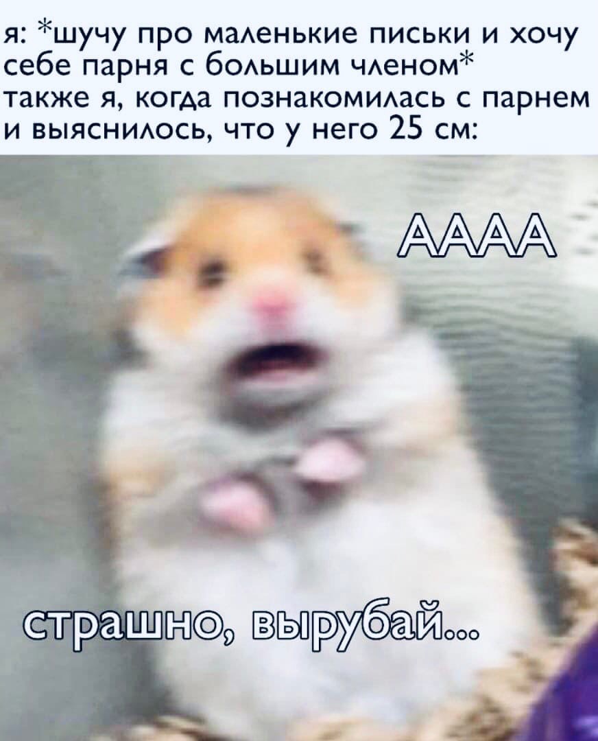 872x1080  Пошлые картинки для мужчин