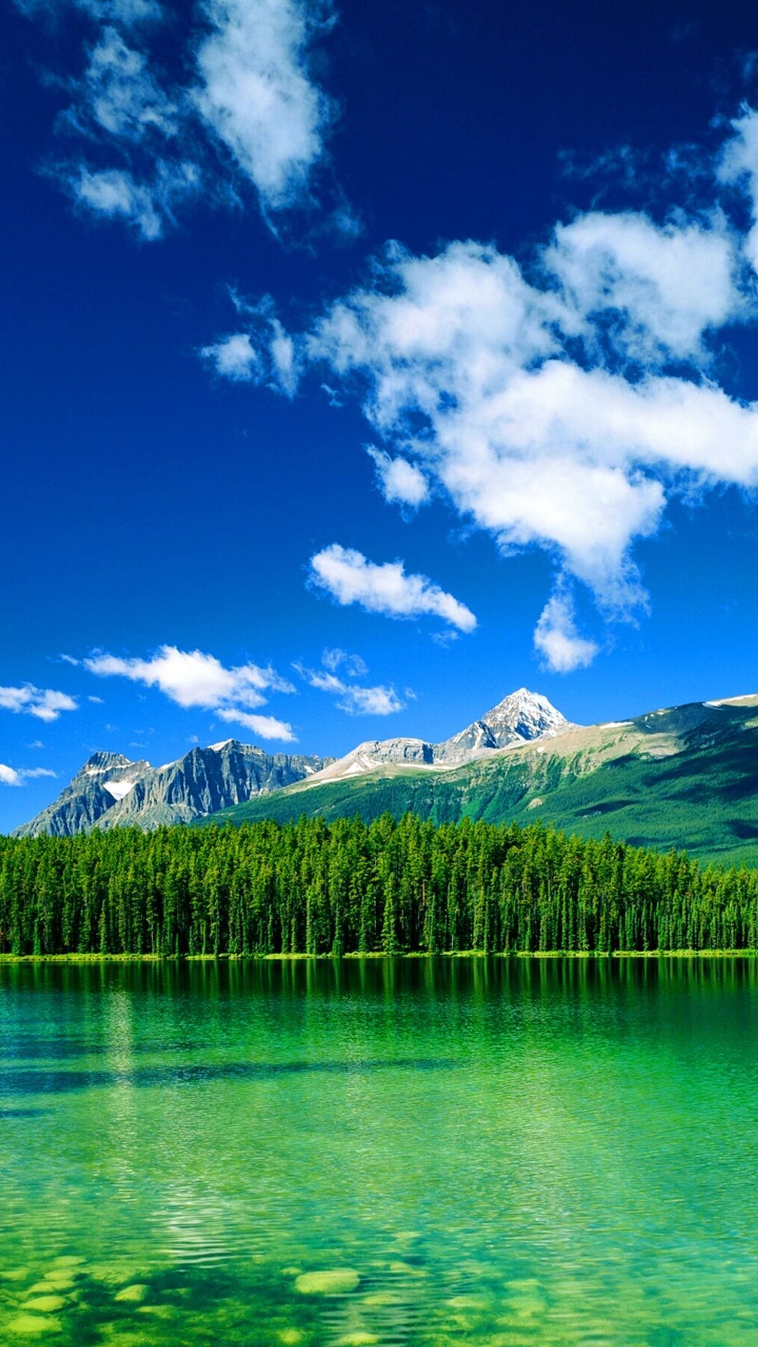 1080x1920  Обои для смартфона | Пикабу