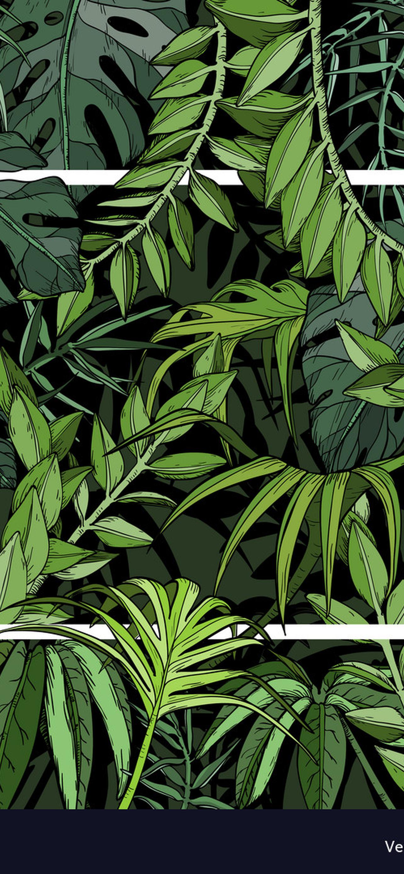 1284x2778  Тропические листья обои на телефон [29+ изображений]