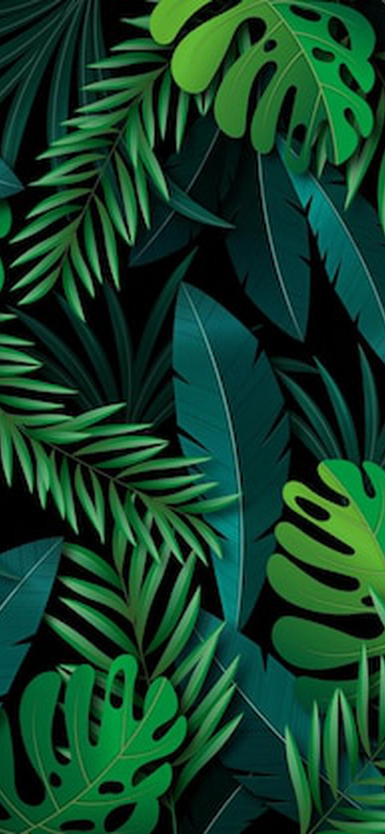 1284x2778  Картинки на телефон зеленый фон - 70 фото