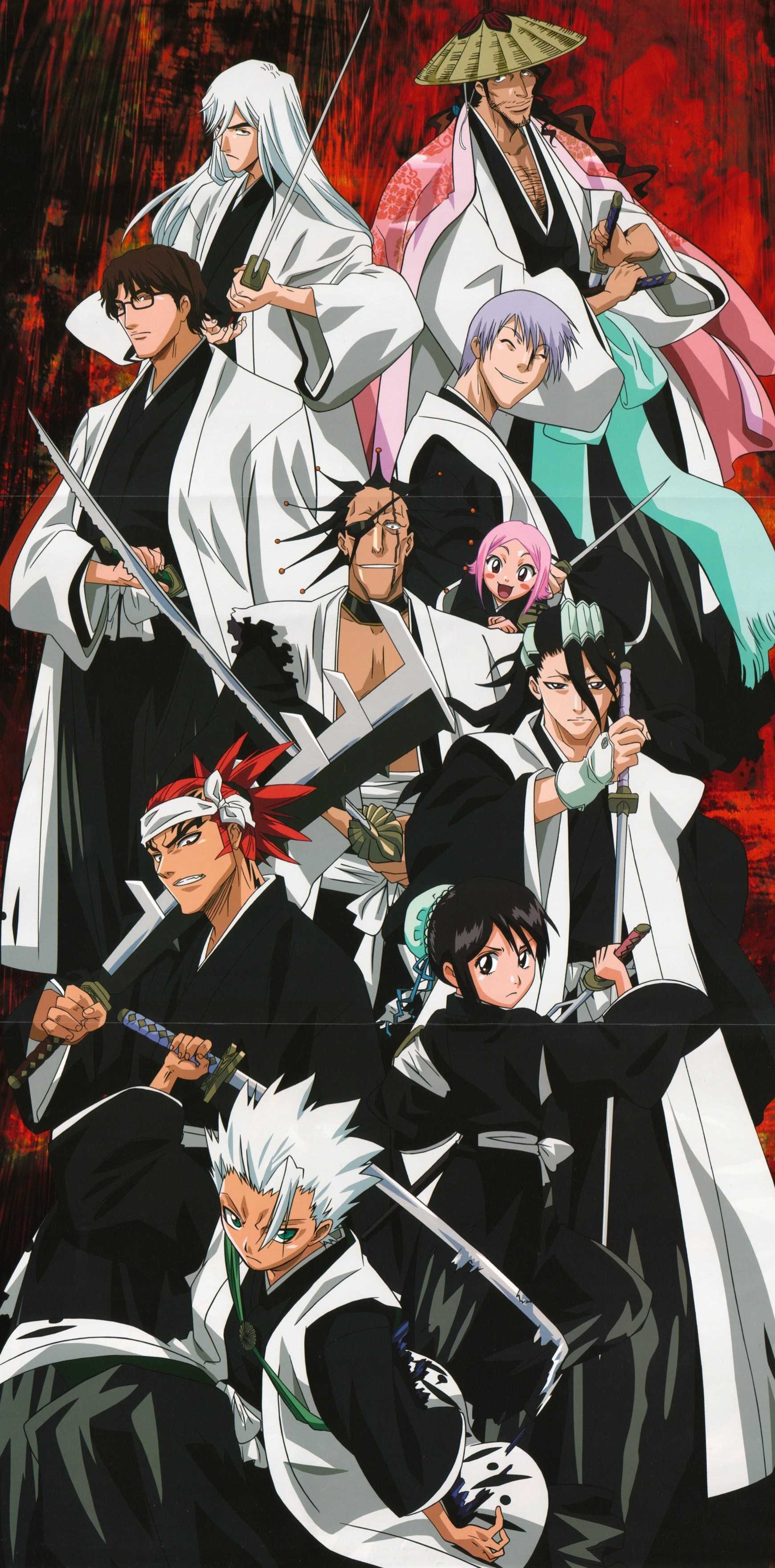 1740x3521  Bleach Wallpaper - iXpap